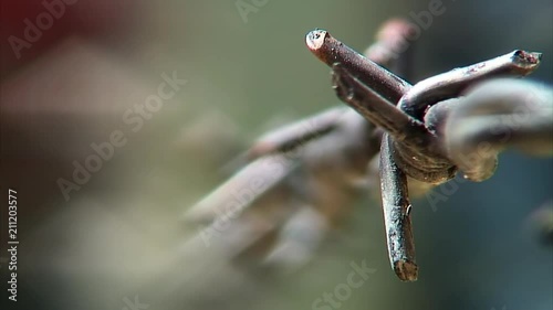 Focus In: Barbed Wire Fence at Auschwitz