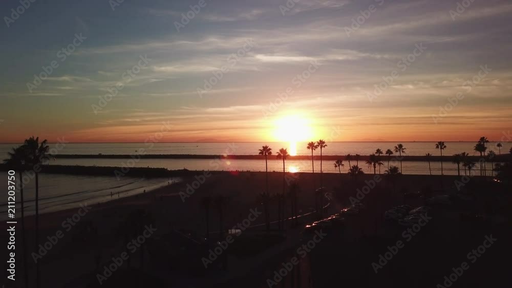 Aerial: Palm Trees, Sunset of Newport Beach Aerial: Palm Trees, Sunset of Newport Beach