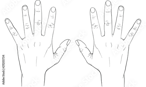 baby hand drawing vector