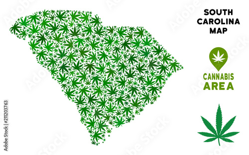 Cannabis South Carolina State map collage of marijuana leaves. Narcotic addiction template. Vector South Carolina State map is designed of green ganja leaves.