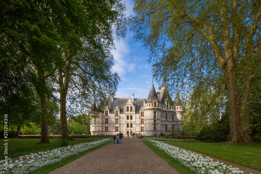 Obraz premium The beautiful chateau at Azay le Rideau in the Loire, France