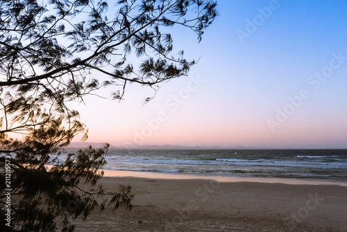 The sunset view on the ocean through the tree from the beach in Byron Bay, Australia