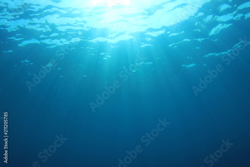 Fototapeta Naklejka Na Ścianę i Meble -  Underwater ocean background 