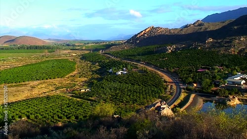 Wide Angle: Wine Country, South Africa photo