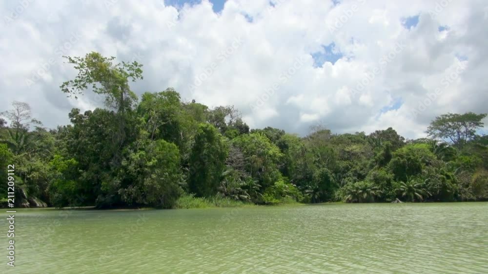 Shot of Panama Canal Mangrove on a Cloudy Day Shot of Panama Canal Mangrove on a Cloudy Day