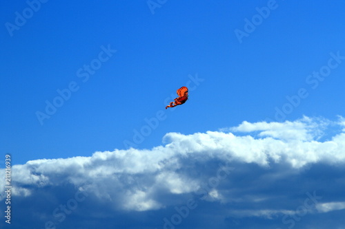 西洋凧の大空を泳ぐ風景