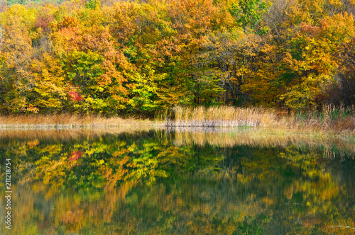 Autumnal landscape with lake
