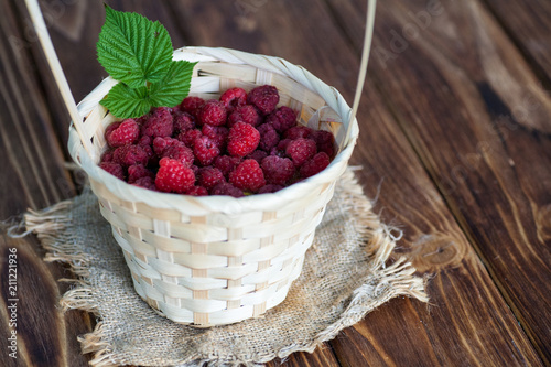 Raspberry basket bush branch growing photo