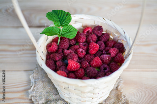 Raspberry basket bush branch growing photo