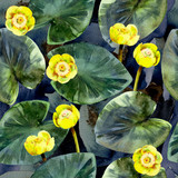 Seamless watercolor pattern of yellow water lilies and leaves.