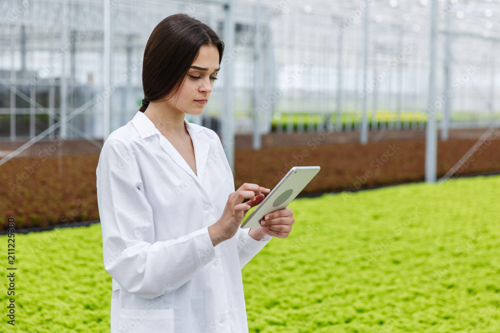 Female researcher holds a tablet studying plants in the greeenhouse Female researcher holds a tablet studying plants in the greeenhouse
