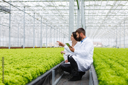 Two researches man and woman examine greenery with a tablet in an all white greenhouse