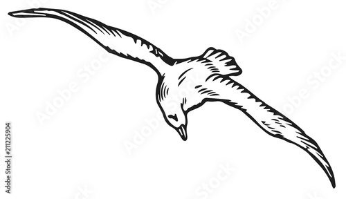 bird #vector #isolated - Vogel