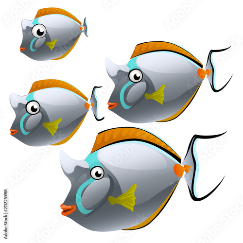 Set of cartoon fish isolated on white background. Vector cartoon close-up illustration. photo
