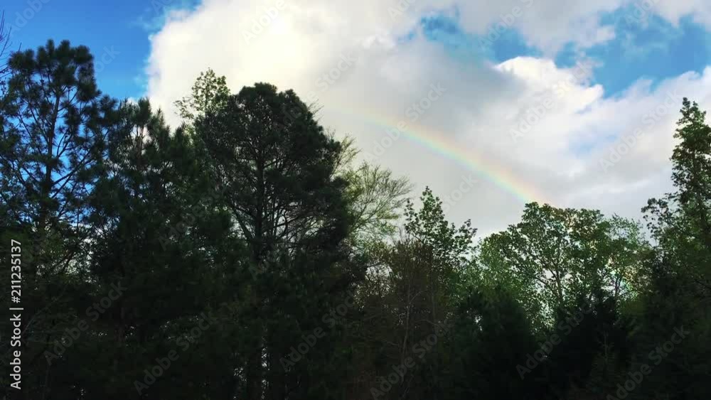 Beautiful, colorful rainbow in the partly cloudy sky appearing over the evergreen trees. Beautiful, colorful rainbow in the partly cloudy sky appearing over the evergreen trees.