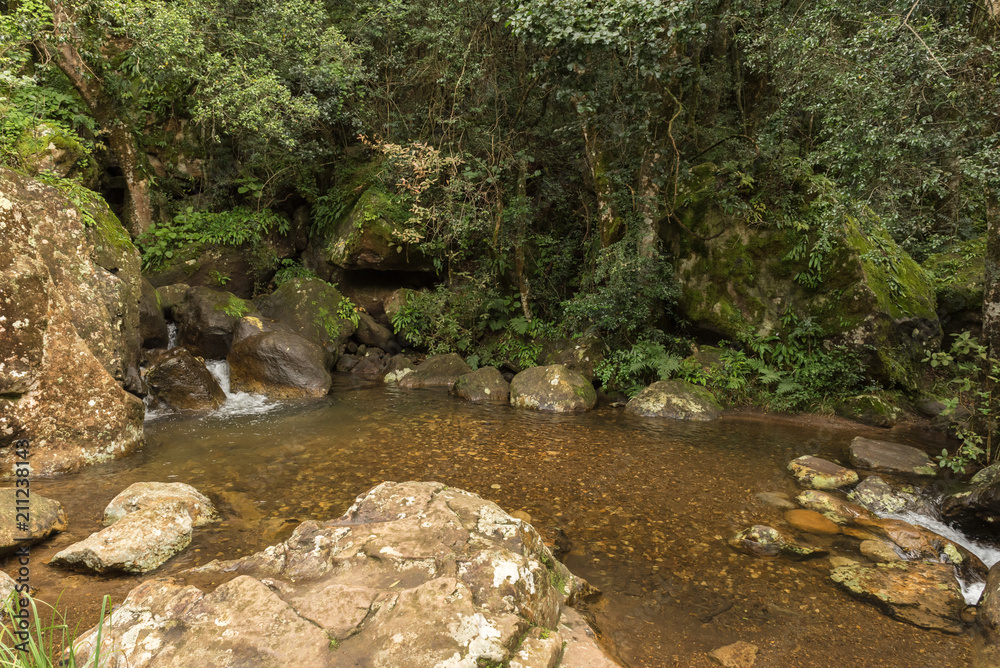 Pond in the Gudu forest