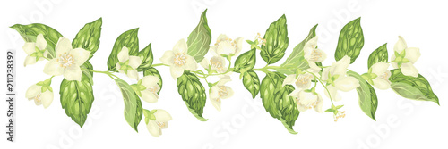 Horizontal decor elements with jasmine flowers bloom branches in realistic graphic vector illustration