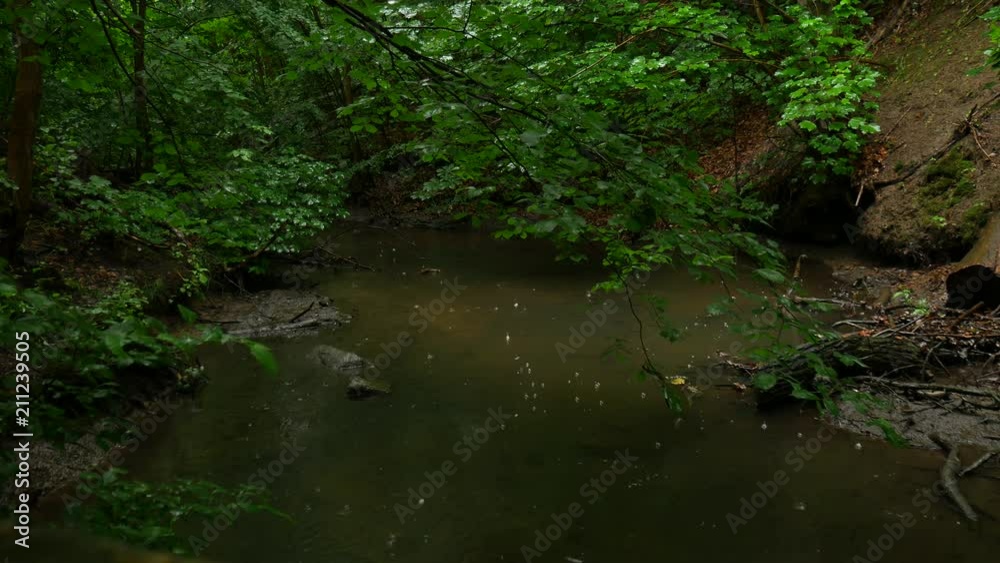 above rain river above rain river