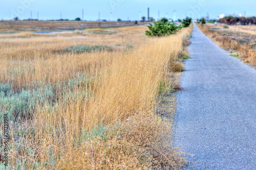 the road for cyclists