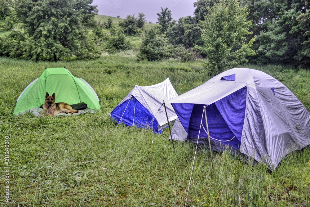 Tents in the rain in the mountains.