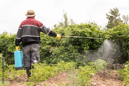 Elderly farmer man in hat, glasses and protective clothing sprinkles potatoes with professional sprayer. Struggle with the Colorado beetle. Blue tank with electric sprayer. Strong poison for insects.