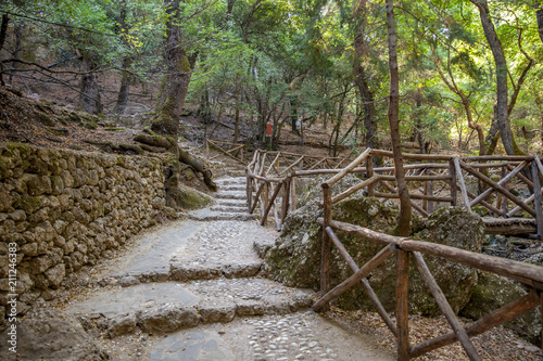 Valley of the Butterflies Peta Loudhes Rhodes Greece Europe