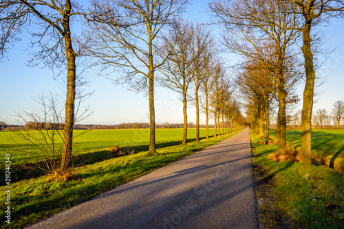 Seemingly endless  country road in the Netherlands