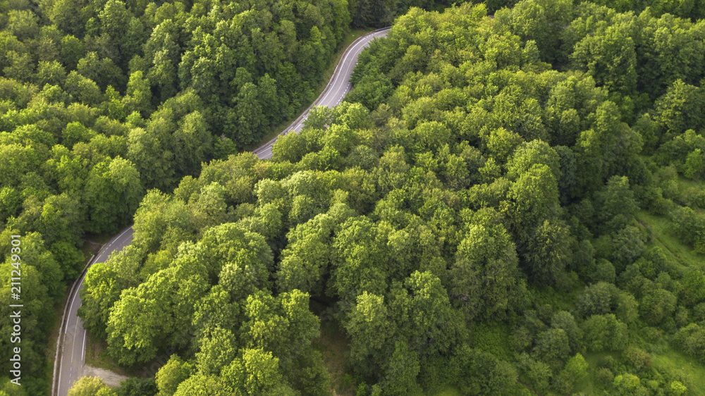 Aerial view of a small and narrow road passing through the forest trees. It is nobody. The street has a curve in the middle.