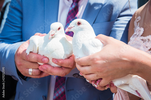 Groom and bride hold white dove in their hands