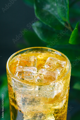 Close-up of a fresh yellow sparkling drink with ice against green nature backgrounds.