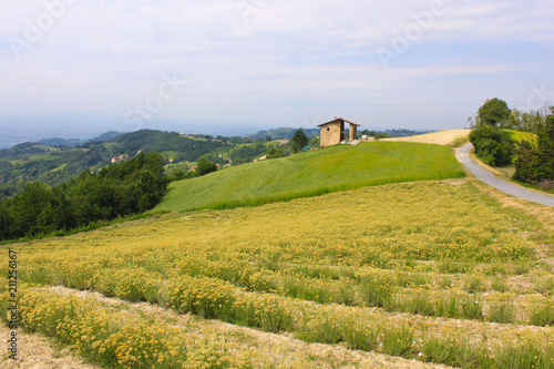 Landscape of fields in Italy photo