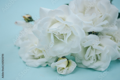 Bouquet of white roses on a blue background
