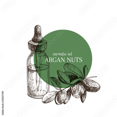 Hand drawn set of essential oils. Vector argan nut. Medicinal herb with glass dropper bottle. Engraved art. Good for cosmetics, medicine, treating, aromatherapy, package design health care.