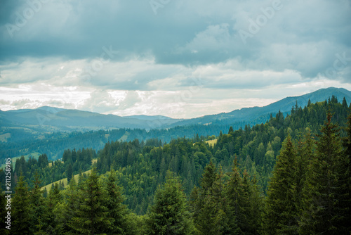 Nice mountains view at sunny day with under blue sky with sunlight at warm time. Carpathian mountains summer sunset landscape with sun and alpine pines 