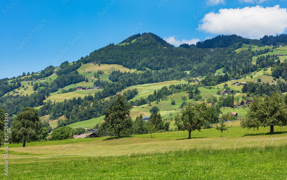 A summertime view in the region of the town of Schwyz in Switzerland