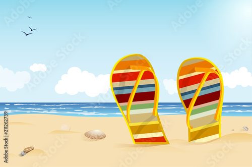 Summer beach with flips and shells under blue sky
