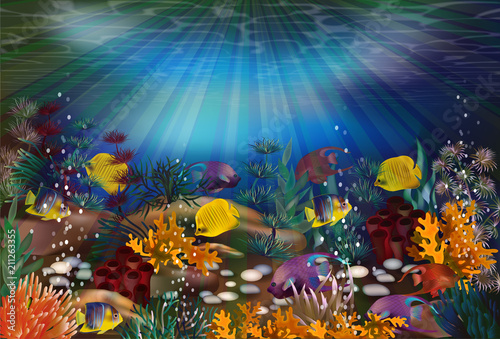 Fototapeta Naklejka Na Ścianę i Meble -  Underwater wallpaper with tropical fish, vector illustration