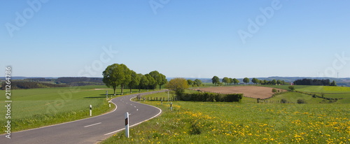 De ardennen op zijn mooist met een kronkelende weg en groene heuvels
