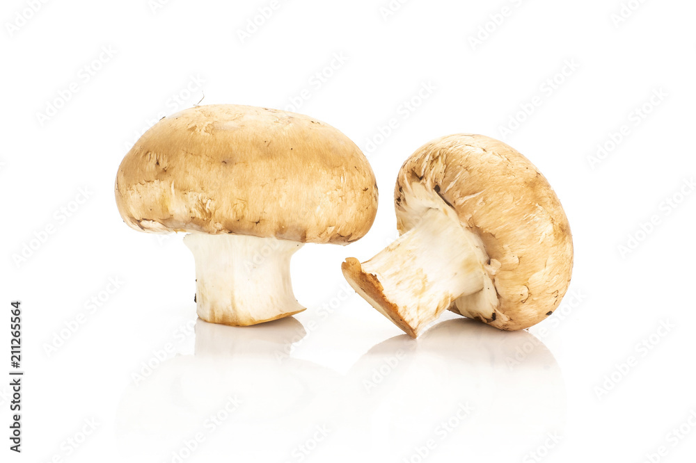 Fototapeta premium Two fresh raw brown champignons isolated on white background.