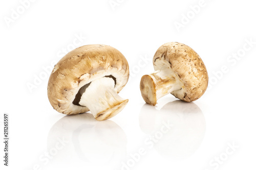 Two raw brown champignons isolated on white background.