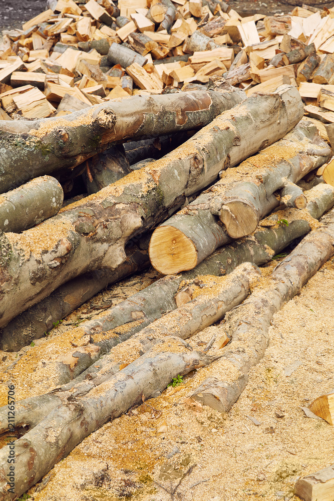 Stacks of firewood in the sawmill. Pile of firewood. Firewood background
