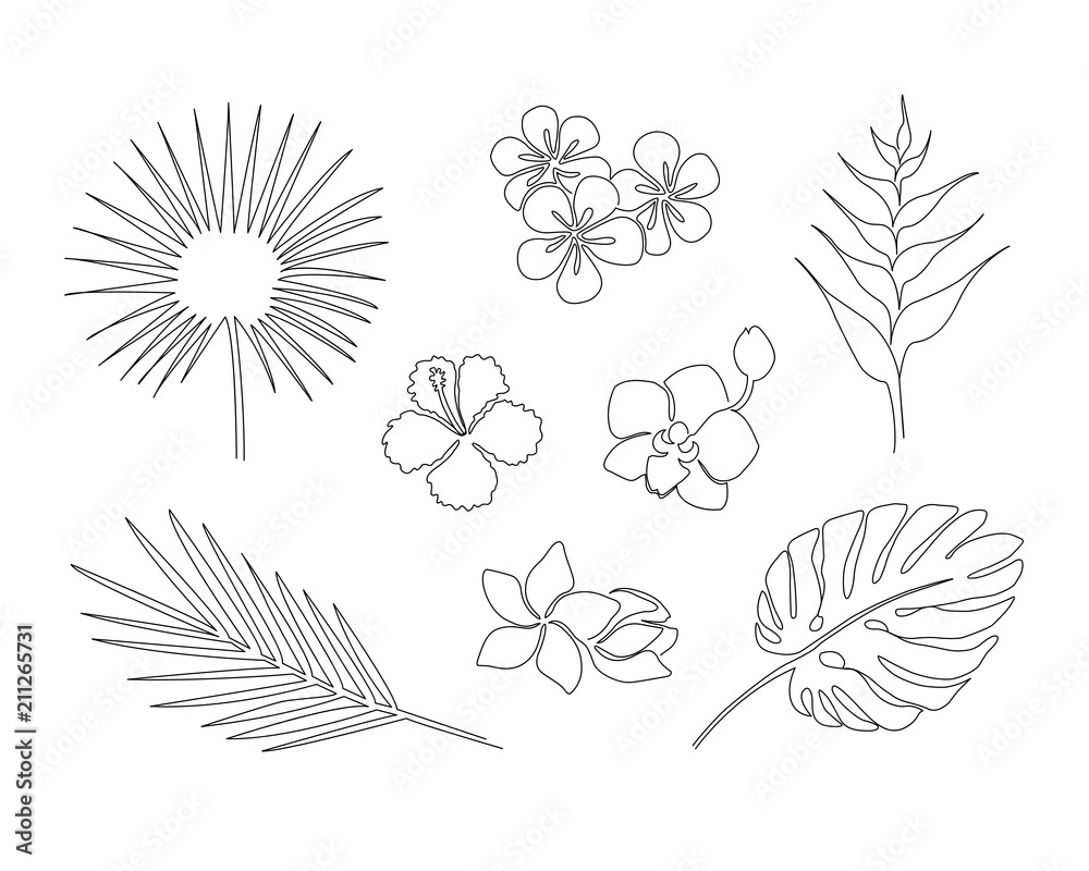Set of hand drawn tropical plants isolated on white background. Monstera, copernicia, orchid, palm, plumeria, heliconia, hibiscus. One line drawing vector sketch.