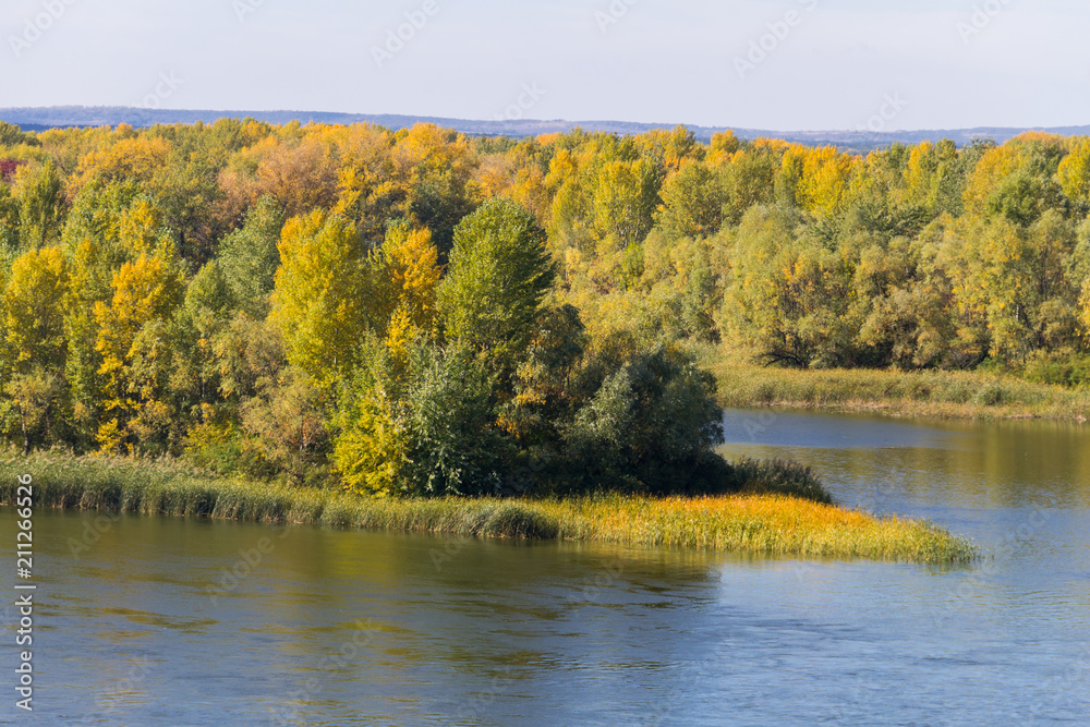 Colorful autumn trees on the riverfront. Colorful autumn trees on the riverfront.