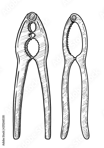 Nutcracker illustration, drawing, engraving, ink, line art, vector
