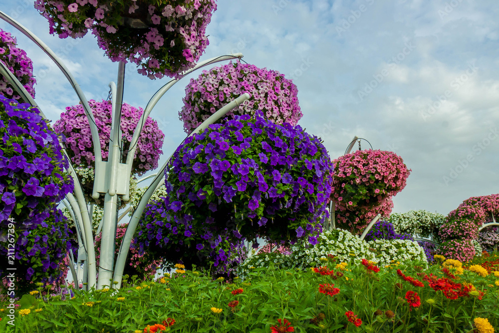Obraz premium Flowers