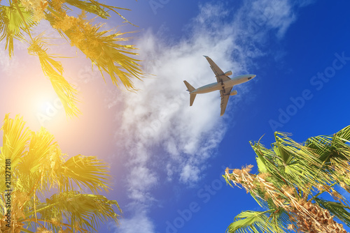 Plane passing palm trees tops with blue sky on the background