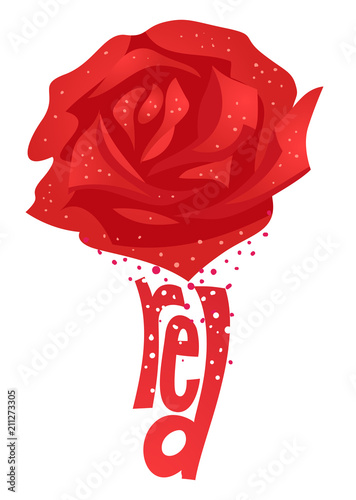Rose Color Red Illustration