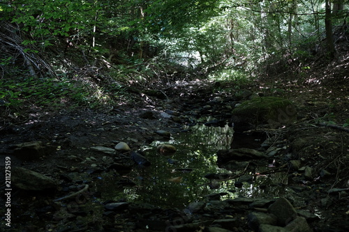 Εκτύπωση καμβά Nature Environment Rivulet