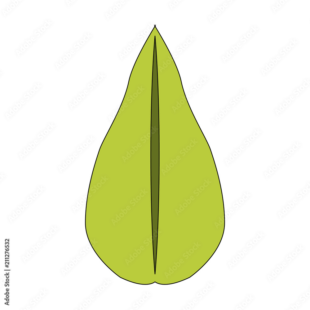 leaf plant ecology icon leaf plant ecology icon