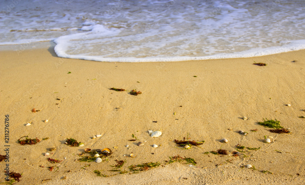 beautiful yellow sandy beach near the blue sea beautiful yellow sandy beach near the blue sea